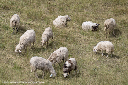 10 06 2018, Sivergues (FRA,84)