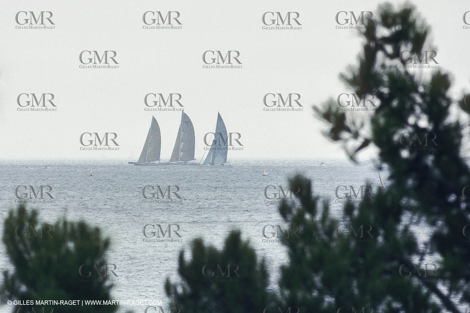 Saling, yacht Racing, Offshore Sailing, Multihulls