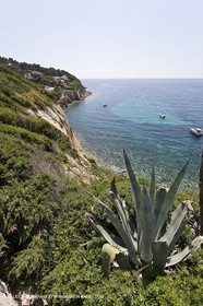 26 06 09 - Sanary sur mer (FRA,83)