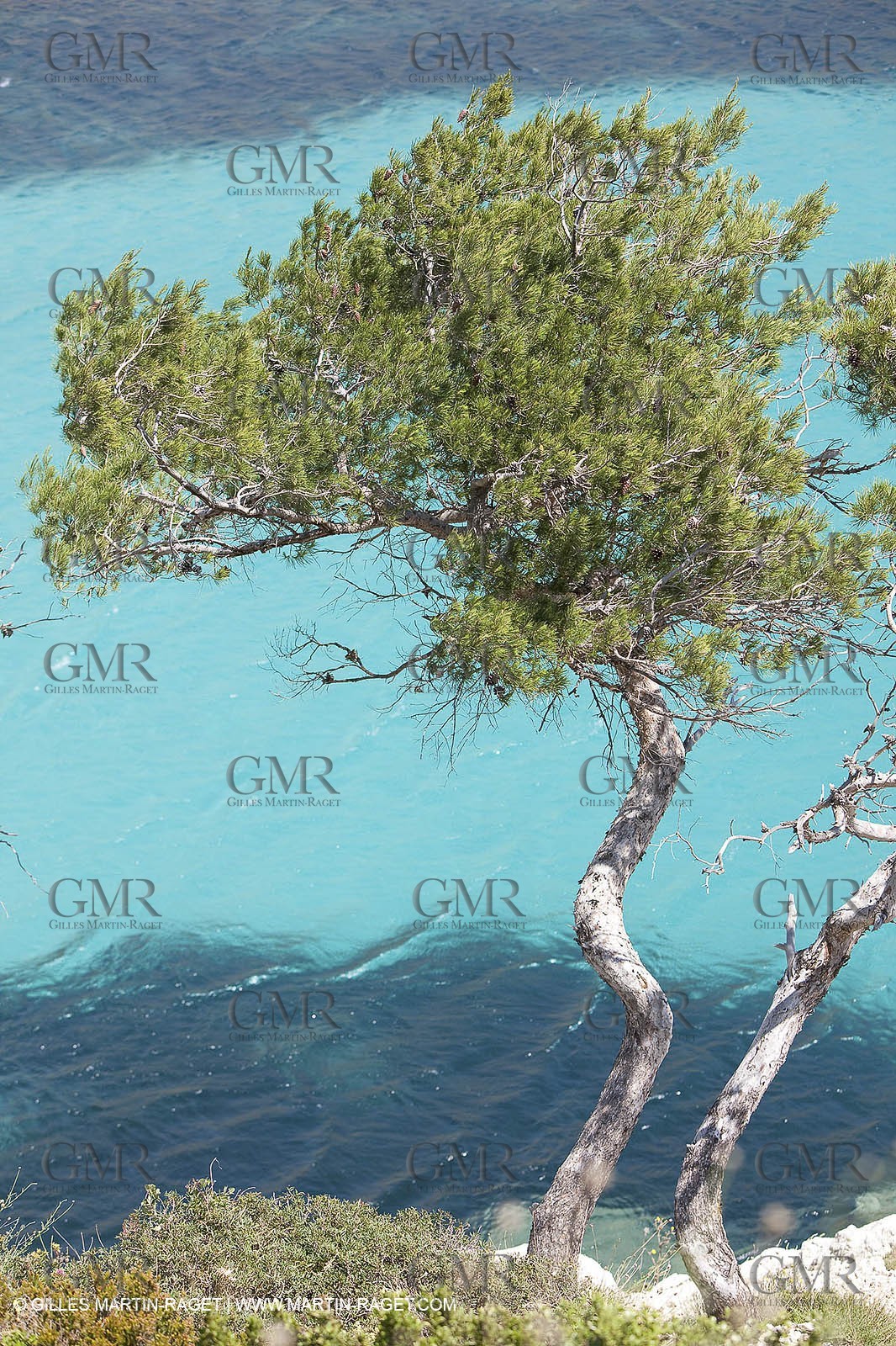 27 05 2009 - Marseille (FRA, 13) - Les Calanques - Sormiou