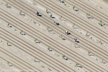 Payages des Costières (30)