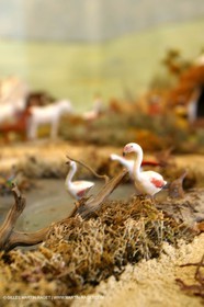 Décembre 2010, Les Saintes Maries de la Mer (FRA,13) , Grande crèche de Noël