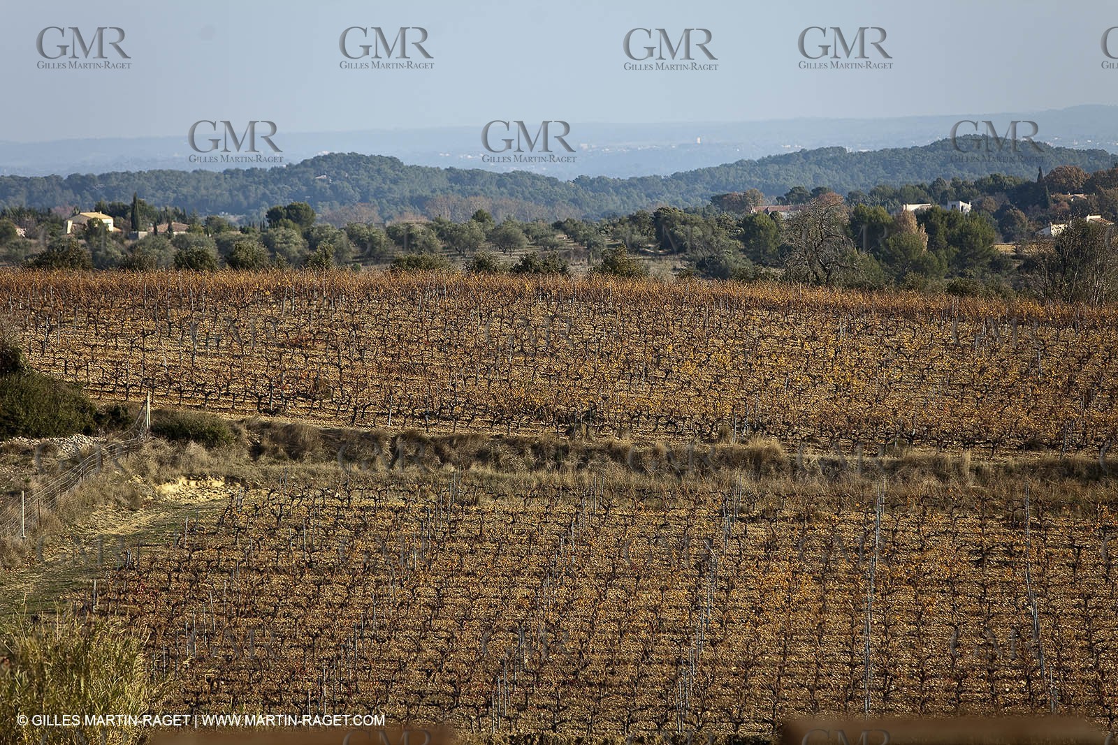 Saint Drézéry (FRA, 34), Domaine de Puech Haut
