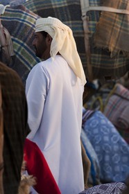 20 11 2010 - Dubai (UAE) - Camel races