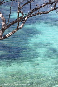 27 05 2009 - Marseille (FRA, 13) - Les Calanques - Sormiou