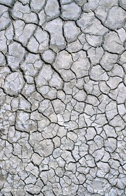 cracks - drained marsh