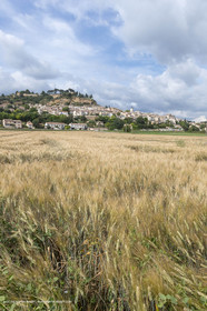 05 06 2018, Cadenet (FRA,84)