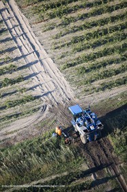 16 09 2012 - From AIx les Milles to la Grande Motte - Petite Camargue