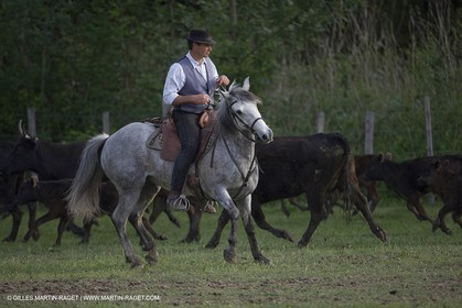 07 05 2008 - Le Cailar (FRA,30) - Stock work at Mas du Pont de Laute domain