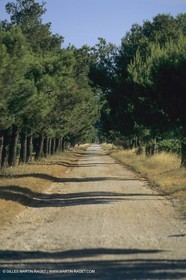 France, south, Alpilles landscapes