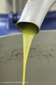 22 11 2012 - Fontvieille (FRA,13) - Pression de l'huile d'olive au moulin à huile de Bedarrides