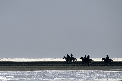 Camargue (FRA,13) - Gardians