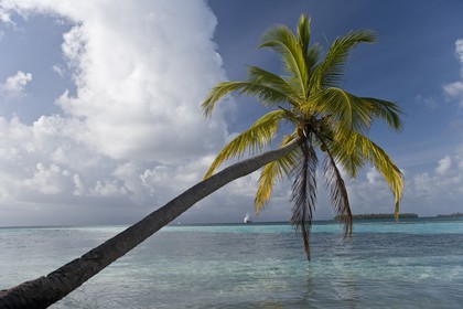 01 02 2008 - San Blas Archipelago (Panama) - Motor Yacht Senses
