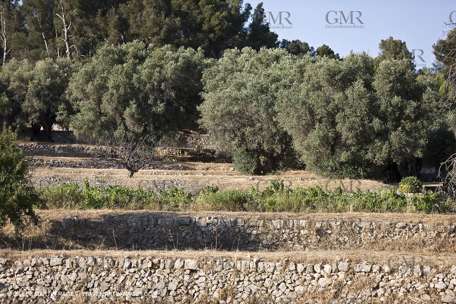 26 06 09 - Sanary sur mer (FRA,83)