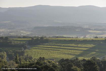 15 06 2018, Roussillon (FRA,84)