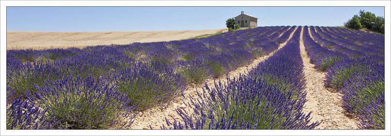 Produit : Tirage photo réalisé par nos soins sur imprimante jet d'encre professionnelle Epson à partir de 8 encres ultrachrome inaltérables (label Digigraphie).Formats au choix :. 20 x 60 cm. 33 x 95 cm- 52 x 150 cmChoix des papiers :. Papier standard brillant 250 gr., filet noir, marge blanche, tirage non signé. Papier haut de gamme satiné 290 gr. filet noir, marge blanche, tirage vérifié et signé par l'auteur.. Autres supports (canvas, acrylique, dibond) sur demandeConditionnement : tube cylindrique renforcé.Options pour l'expédition : . colissimo + dépôt boîte aux lettres (France uniquement). Colissimo avec signature à réception. Transporteur express (2 jours ouvrés) avec signature à réceptionCliquez sur caddie pour sélectionner votre formule et démarrer la procédure de commande en ligne