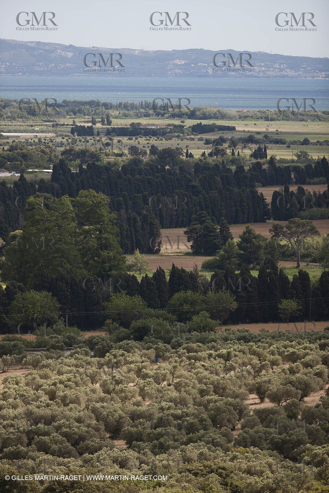 13 06 2012 -  Lançon de Provence (FRA,13) - Chateau Calissanne