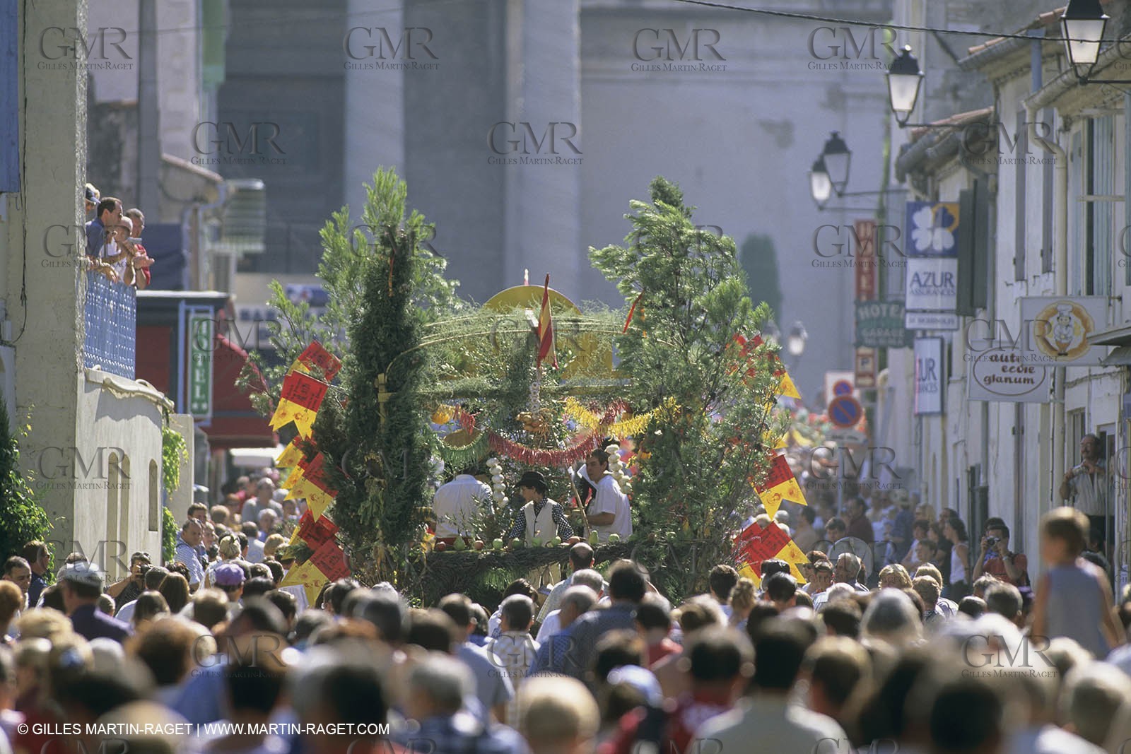 France, Provence, Saint-Rémy de Provence, Careto ramado (Char fleuri)