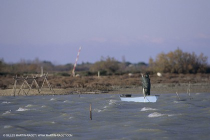 France, Provence, Camargue, Nature, Pêche, Fishing