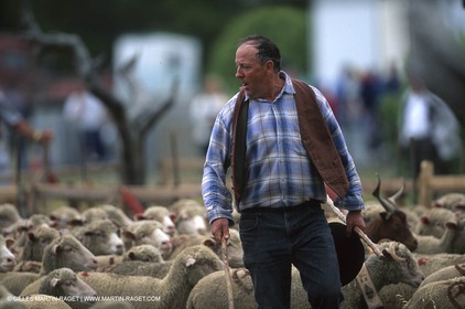 Saint Rémy de Provence (FRA,13) - Fête de la Transhumance