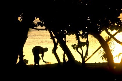 Destination croisiere - Maldives - Nettoyage des sous-bois