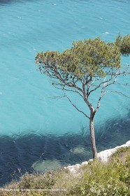 27 05 2009 - Marseille (FRA, 13) - Les Calanques - Sormiou