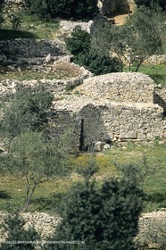 Paysages de Nîmes Métropole (FRA,30) - La Garrigue