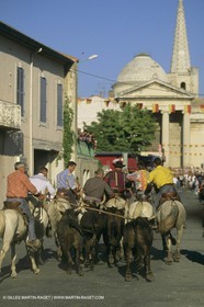 France, Provence, Saint-Rémy de Provence, Careto ramado (Char fleuri)