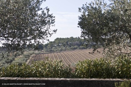 Saint Drézéry (FRA, 34), Domaine de Puech Haut