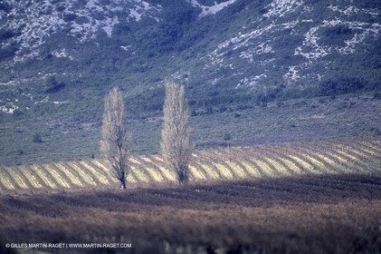 ALPILLES0022.jpg