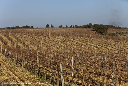 Saint Drézéry (FRA, 34), Domaine de Puech Haut