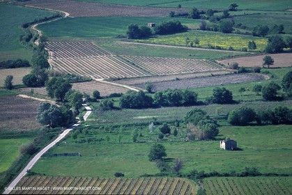 Saint Dionisy