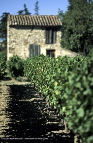 Côtes du Rhône - Rasteau