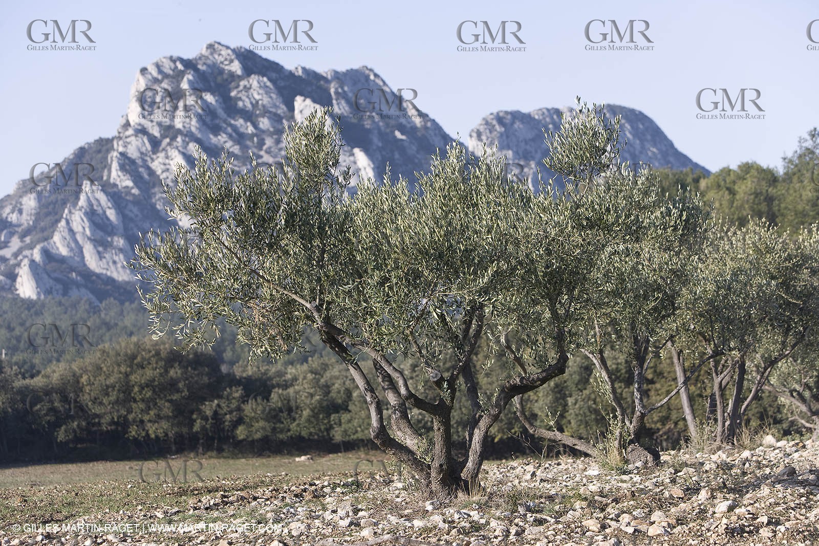 09 02 2008 - Les Baux de Provence (FRA, 13) - Alpilles hills landscapes
