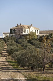 Saint Drézéry (FRA, 34), Domaine de Puech Haut