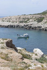 20 05 2009 - Marseille (FRA, 13) - Les Calanques - Calanque de Marseilleveyre