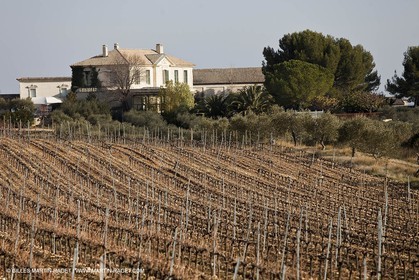 Saint Drézéry (FRA, 34), Domaine de Puech Haut