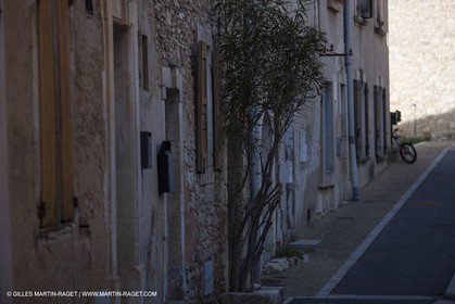 March 30th 2012 - Saint Saturnin les Apt (FRA, 84) - blooming cherry trees