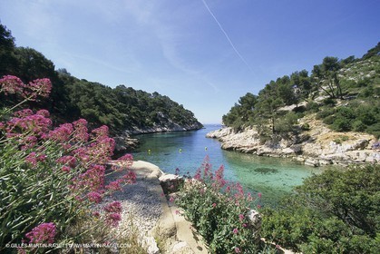 France, Provence, Les Calanques & Iles de Marseille, port Pin