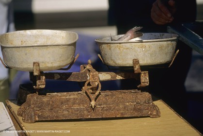 Pêche, barques, pointus, pêcheurs