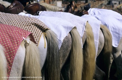 Arles (FRA,13) - Costume from Arles Fest
