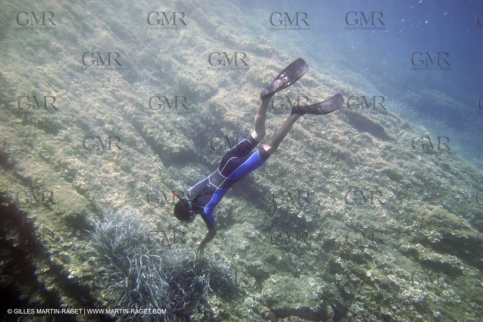 2005, Port Cros Island