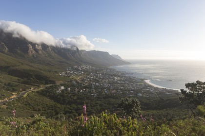 10 11 2014, Capetown (ZAF), Volvo Ocean Race 2014-15, Team Alvimedica