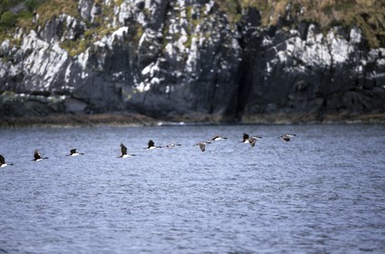 Patagonie