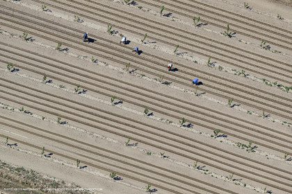 Payages des Costières (30)