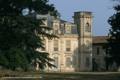 Camargue (FRA,13) - Little Camargue