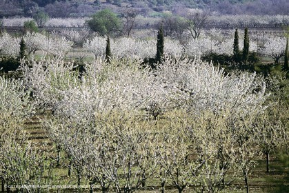 Luberon en hiver vers Saint Saturnin les Apts (FRA,84)