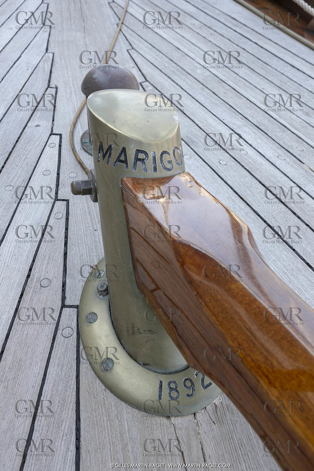 29 03 2019, Barcelona (Spain), Marigold