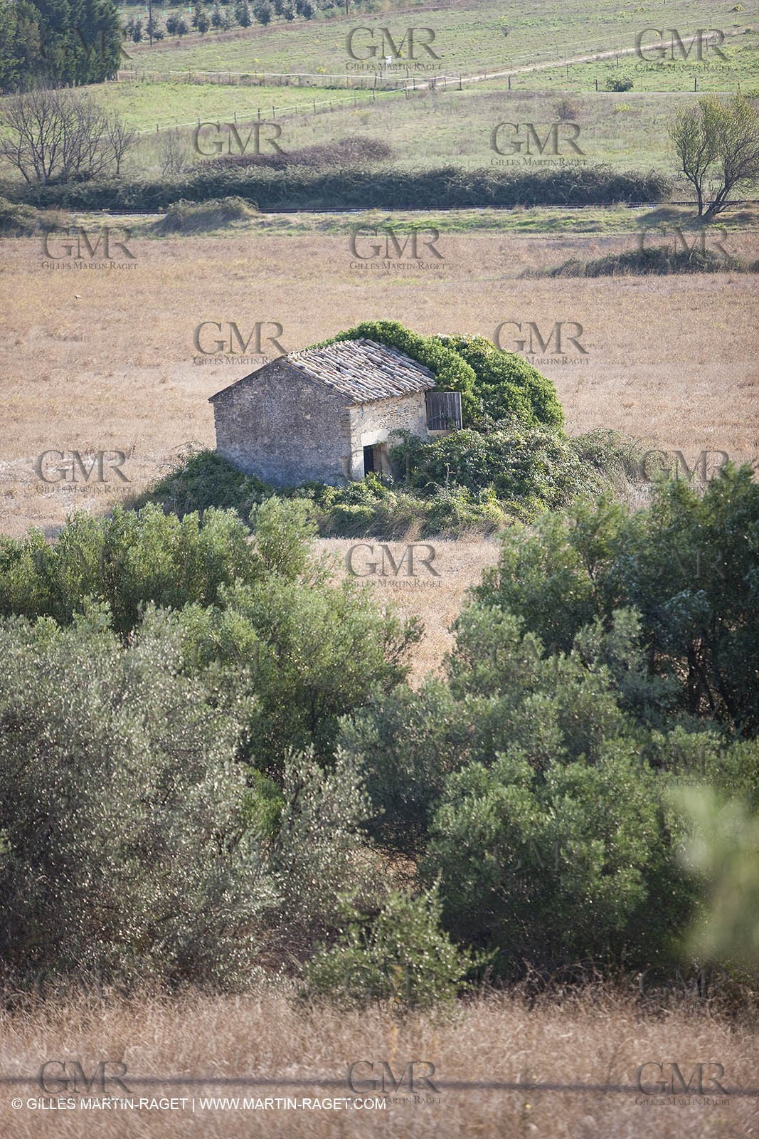 25 09 2009 - Sernhac (FRA,30)