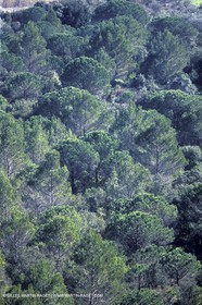 Saint Côme and Maruejols